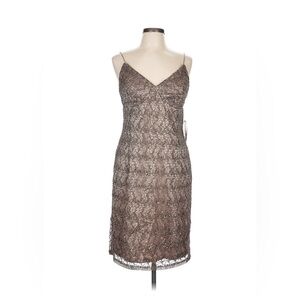 Adrianna Papell Lace & Sequins Dress